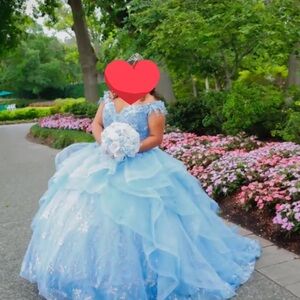 Quinceañera/Sweet 16 dress